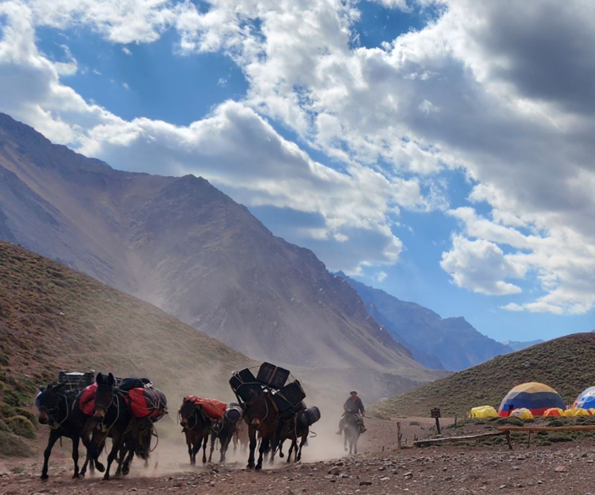 Aconcagua Scotty