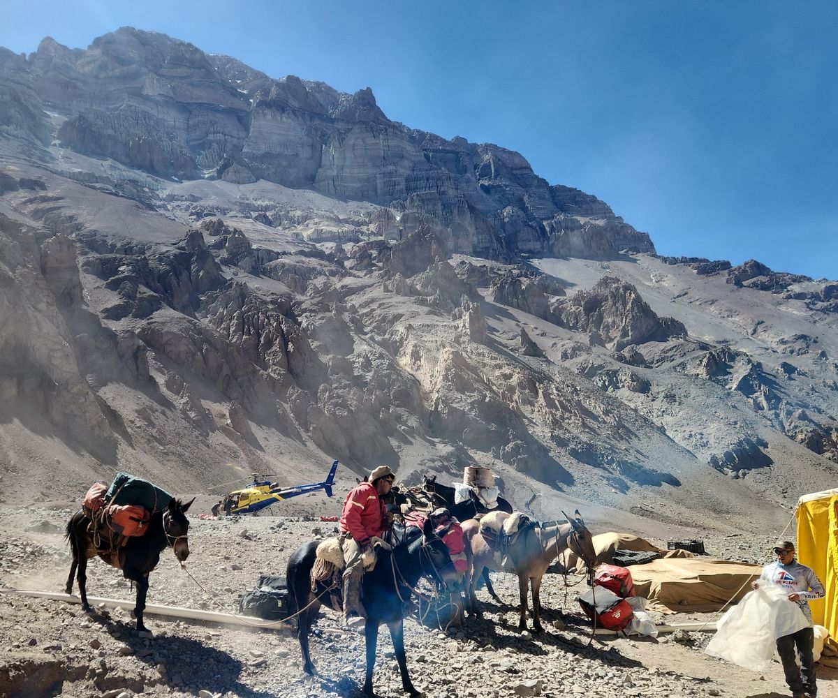 Aconcagua Scotty